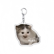 希特猫钥匙扣可爱宠物书包挂件亚克力猫咪挂饰学生朋友闺蜜礼物Hitter cat keychain cute pet backpack pendantliuqianl1.my20250811