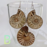 Ammonite Set pendant earrings Million-Year Shell Carry It With You. Scallops