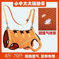 With Back Legs Disabled Dogs Powerless Dogs Injured Elderly Middle-aged Senior Dogs Leash Pets Help 