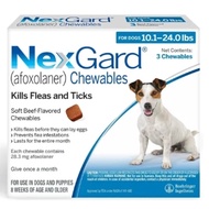 Nexgard Spectra Anti Tick & Flea with Sticker for Dogs Sold per Box exp11/2026