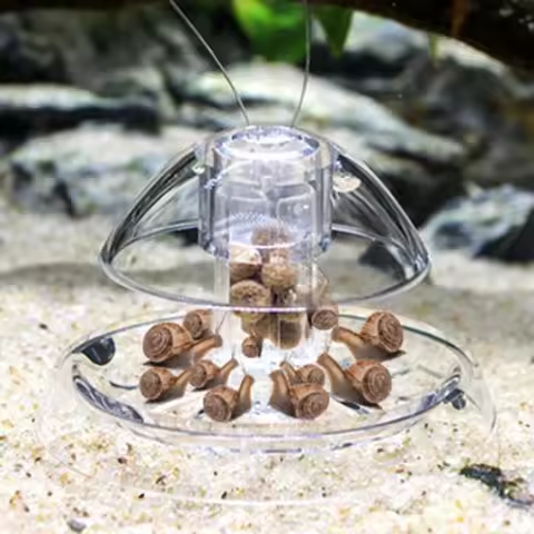 Fish Tank Accessories Aquarium Plant Snail Trap Catcher Plastic Leech Planaria Pest Catch Box Cleani