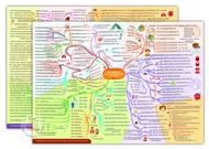 Double Set : 84.1 cm x 59.4 cm HD - Thai traditional medicine Poster