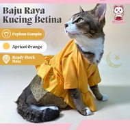 MaoH Baju Raya Kucing Betina (Apricot Orange) Peplum 2024 Cat Clothes Melayu Sedondon Comel