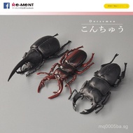 Popular RE-MENT Insect Kingdom Egg Box: Mantis, Stag beetle, Horn beetle, Butterfly, Locust, Dragonf