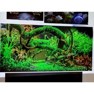 3d painting. stickers for aquariums, arowana fish tanks (back painting)