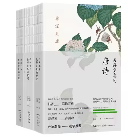 Beautiful Tang Poetry Song Lyrics and Book of Songs Bilingual Books (English and Chinese) Translated