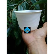 NKT SKULEN 12 mini flower pot warehouse sale