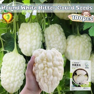 5pcs Fresh Round White Bitter Gourd Seeds for Planting Vegetable Plants White Apple Bitter Melon Bal