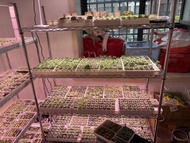 304不鏽鋼網格架/碳鋼鍍鉻家用收納架現貨批發零售