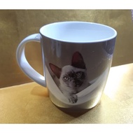 COFFEE CUP CAT