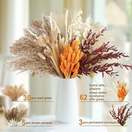 ALI🍒Cross-Border Hot Selling Small Dried Reed Flower Bouquet PAMPAS Grass Horsetail Whisk Rabbit Tail Grass Wheat Bohemi