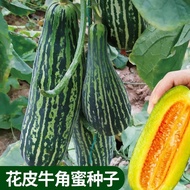 Flower Skin Croissant Seed Melon Stuffed Orange Red Melon Melon Claw Honey Seed Early Cooked Farm Pa