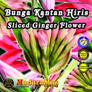 Bunga Kantan Hiris - Sliced Ginger Flower 10g - 1 Kg (100% Pure) Stok Terbaru