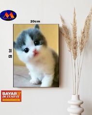 HIASAN DINDING GAMBAR KUCING/POSTER KAYU GAMBAR KUCING LUCU/HIASAN DINDING RUANG TAMU/WALLDECOR