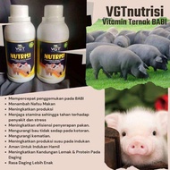 Vgt Nutrisi Babi penggemuk babi