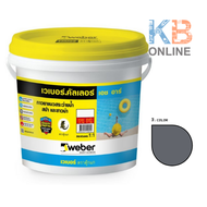 กาวยาแนว เวเบอร์คัลเลอร์ เอช อาร์ ขาว/เทา/เทาไข่มุก/ฟ้า 3.7 กก. WEBER