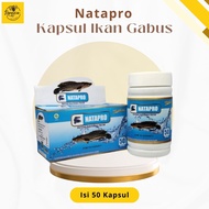 Natapro Original Pro BPOM Kapsul Albumin Ikan Gabus Kutuk 50 kapsul | kapsul ikan gabus yg original