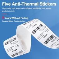 Clabel 220B/221B/230B High-Quality Synthetic Coated Thermal Paper