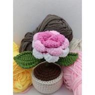 Crochet Rose (flower) in Pot.