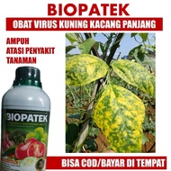 500 ML BIOPATEK Fungisida Hama Virus Kuning/Gemini Kacang Panjang Obat Hama Virus Kuning/Gemini Kaca