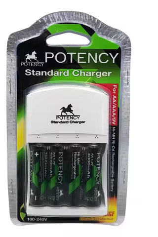 Charger Kit + 4 AA 4800 mAh Rechargeable Batteries