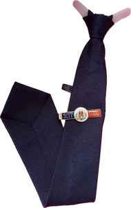 Necktie with Clip for security