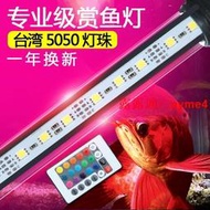 快速出貨魚缸潛水燈水族箱防水燈變色遙控燈LED水中燈照明燈LED魚缸燈亮超