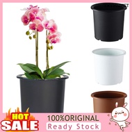 [LISI]  Slotted Orchid Flower Garden Inner Outer Pot Planter Tray Tabletop Ornament