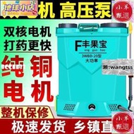 【甄選推薦】雙電機高壓電動噴霧器農用鋰電充電式雙泵打藥機背負式農藥噴壺