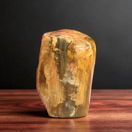 Petrified wood GHT69 - C12.5cm x N8cm