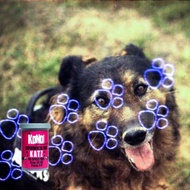 【KONO!】 KATZ 貓  200 ISO 35mm 彩色負片 特效菲林 (24exp)