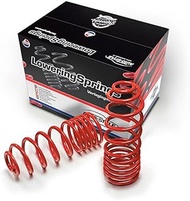 AUTO-STYLE Lowering Springs Compatible with BMW 7 Series F01/F02 SWB + LWB 730/740/730D/740D (Front 