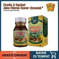 Temulawak Dumaag - Obat Herbal Madu Murni menyembuhkan penyakit maagh sakit liver Meningkatkan st