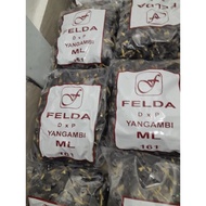 YANGAMBI FELDA ML161 / CAMBAHAN SAWIT/ BENIH SAWIT