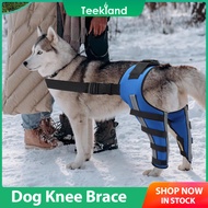 Teekland Dog Hind Leg Brace Knee Support for ACL Injury Recovery Adjustable Dog Rehabilitation Wrap