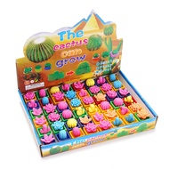 Novelty water-soaking enlargement toy: cactus expanding toy, large box of plant flowers, children's 