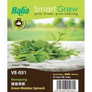 Baba Smart Grow-Green Malabar Spinach (Vegetable seed) 10gm+- /pack - VE-051 绿皇帝菜