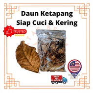 Daun Ketapang Siap Cuci &amp; Kering 10/40/50g± | Channa &amp; Betta Fish Ikan Laga | 已处理榄仁叶 10/40/50g± .