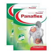 [2 Packs] PANAFLEX Muscle & Joint Pain Relief Patch 2s