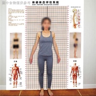 ((Posture Assessment Sheet) Wall Stickers Gym Posture Measurement Grid Paper Yoga Hall Private Educa