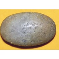 TELUR BATU GELIGA ULAR ASLI MAMPU BERCAHAYA