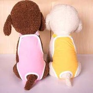 1pc Pet Post-Surgery Recovery Suit, Can Replace Collar, Prevents Licking Wounds, Cat And Dog Spay/Ne
