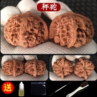 Apple Garden Iron Hammer Official Seal Plaything for Men Modern times Pure E-commerce Xiangfu Walnut