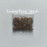 Indigofera Seeds Per Pack