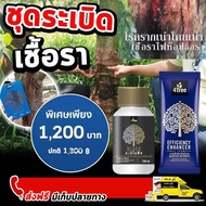 4Tree โฟร์ทรี + Amino Black อะมิโนแบล็คของแท้บริษัท100% สูตร​ระเบิดหัวมัน เร่งราก เพิ่มน้ำหนัก​ สร้า