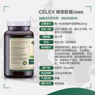 加拿大進口銀杏華銀杏提取物120mg輔助記憶呵 心