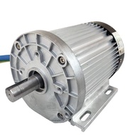 Pure Copper Electric Tricycle Motor, Brushless DC Motor, 3000W, 2500W, 60V, 72V, 4600RPM, 4800RPM
