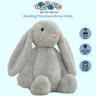 Jellycat Bunny Special Edition Teddy Bear, Cute Cartoon Rabbit Stuffed Animal 2024