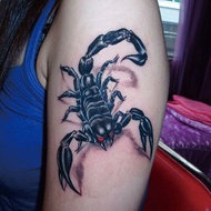 tattoo sticker waterproof temporary tattoo 3d Three-Dimensional Tattoo Sticker Five-Poison Scorpion 