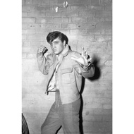 Elvis Presley Rock and Roll Music Poster Photo Picture In The Room Wall Decoration Band